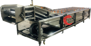 Fruit- en groentereiniging en drogen van kersen Wasmachines voor het reinigen van paddestoelen